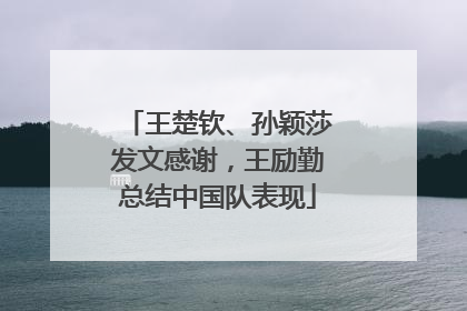 王楚钦、孙颖莎发文感谢，王励勤总结中国队表现