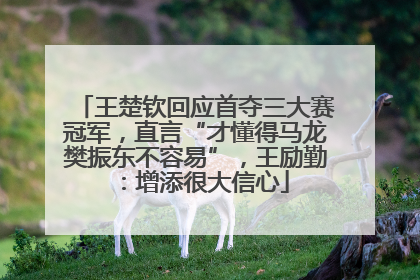 王楚钦回应首夺三大赛冠军，直言“才懂得马龙樊振东不容易”，王励勤：增添很大信心
