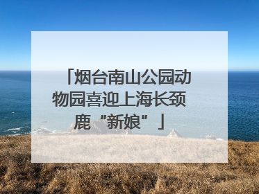 烟台南山公园动物园喜迎上海长颈鹿“新娘”