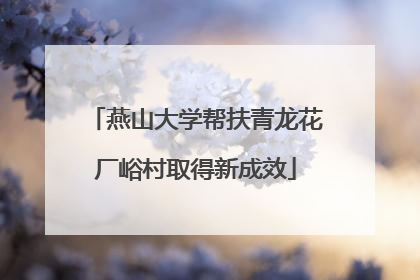 燕山大学帮扶青龙花厂峪村取得新成效