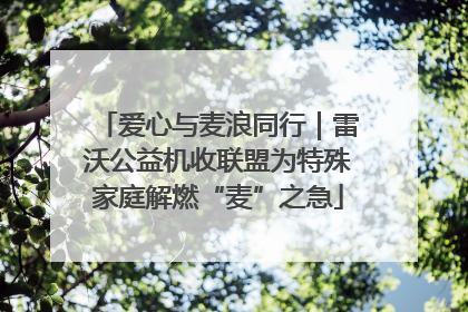 爱心与麦浪同行｜雷沃公益机收联盟为特殊家庭解燃“麦”之急