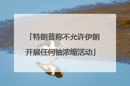 特朗普称不允许伊朗开展任何铀浓缩活动