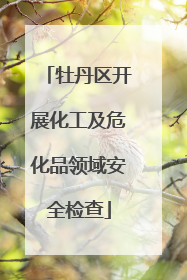 牡丹区开展化工及危化品领域安全检查
