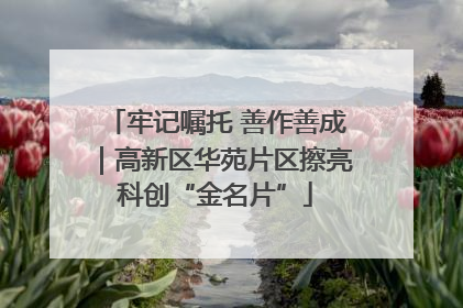 牢记嘱托 善作善成｜高新区华苑片区擦亮科创“金名片”