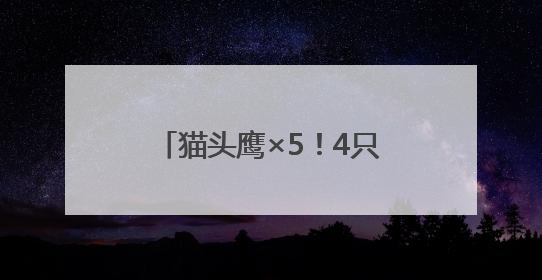猫头鹰×5！4只在闲置房“安家”