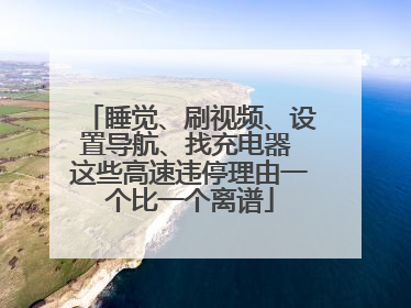 睡觉、刷视频、设置导航、找充电器 这些高速违停理由一个比一个离谱