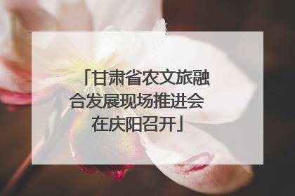 甘肃省农文旅融合发展现场推进会在庆阳召开