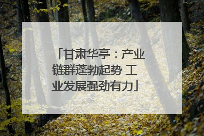 甘肃华亭：产业链群蓬勃起势 工业发展强劲有力