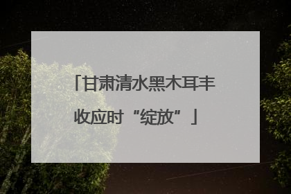 甘肃清水黑木耳丰收应时“绽放”