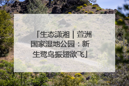 生态潇湘｜萱洲国家湿地公园：新生鹭鸟振翅欲飞