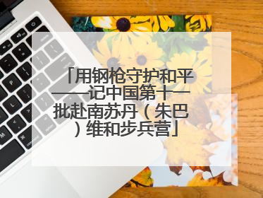 用钢枪守护和平——记中国第十一批赴南苏丹（朱巴）维和步兵营