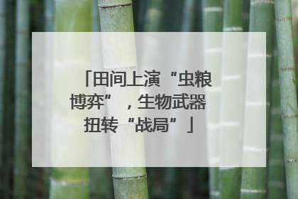 田间上演“虫粮博弈”，生物武器扭转“战局”
