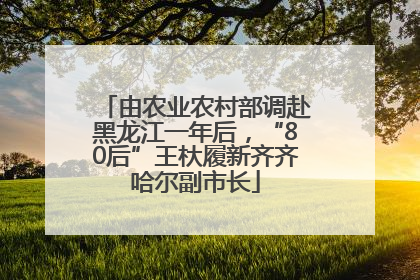 由农业农村部调赴黑龙江一年后，“80后”王杕履新齐齐哈尔副市长