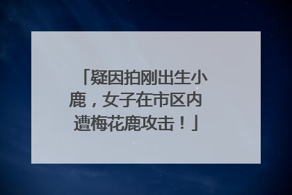 疑因拍刚出生小鹿，女子在市区内遭梅花鹿攻击！