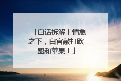 白话拆解丨情急之下，白宫敲打欧盟和苹果！