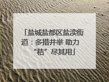 盐城盐都区盐渎街道：多措并举 助力“秸”尽其用