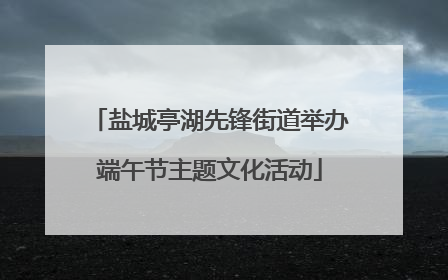 盐城亭湖先锋街道举办端午节主题文化活动