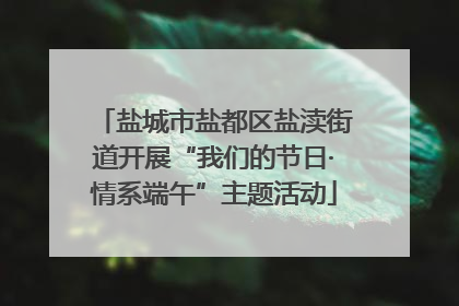 盐城市盐都区盐渎街道开展“我们的节日·情系端午”主题活动