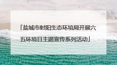 盐城市射阳生态环境局开展六五环境日主题宣传系列活动