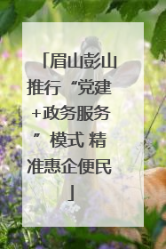 眉山彭山推行“党建+政务服务”模式 精准惠企便民
