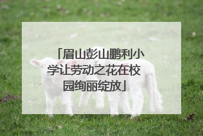 眉山彭山鹏利小学让劳动之花在校园绚丽绽放