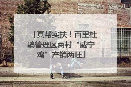 真帮实扶！百里杜鹃管理区两村“威宁鸡”产销两旺