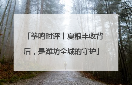 筝鸣时评丨夏粮丰收背后，是潍坊全城的守护
