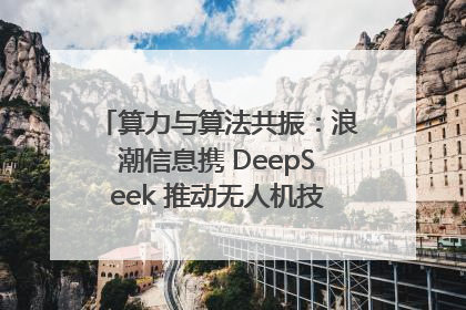 算力与算法共振：浪潮信息携 DeepSeek 推动无人机技术在舟山落地