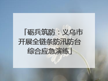 砺兵筑防：义乌市开展全链条防汛防台综合应急演练