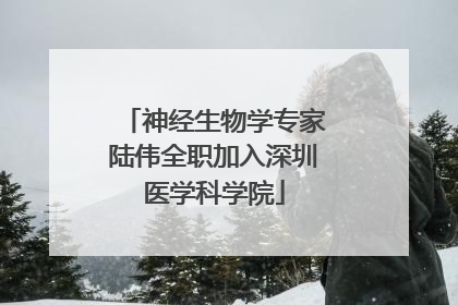 神经生物学专家陆伟全职加入深圳医学科学院