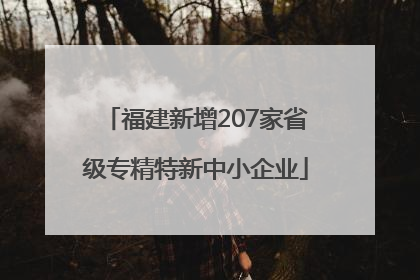 福建新增207家省级专精特新中小企业