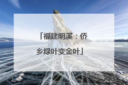 福建明溪：侨乡绿叶变金叶