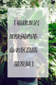 福建龙岩加快闽西革命老区高质量发展