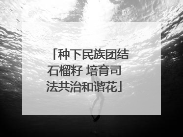 种下民族团结石榴籽 培育司法共治和谐花