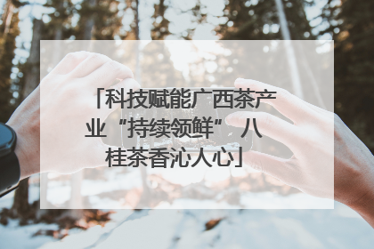 科技赋能广西茶产业“持续领鲜” 八桂茶香沁人心