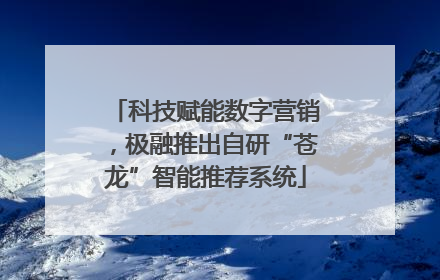 科技赋能数字营销，极融推出自研“苍龙”智能推荐系统