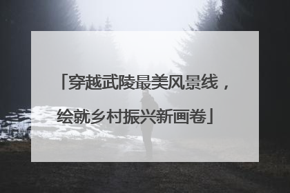 穿越武陵最美风景线，绘就乡村振兴新画卷