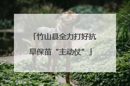竹山县全力打好抗旱保苗“主动仗”