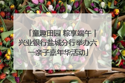 童趣田园 粽享端午｜兴业银行盐城分行举办六一亲子嘉年华活动
