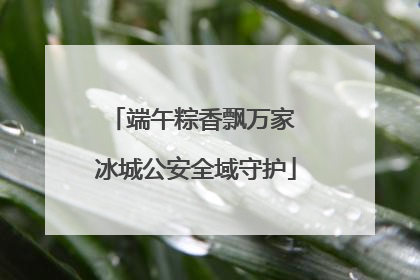 端午粽香飘万家 冰城公安全域守护