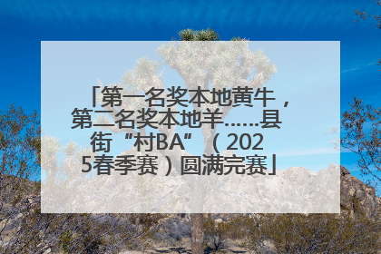 第一名奖本地黄牛，第二名奖本地羊……县街“村BA”（2025春季赛）圆满完赛
