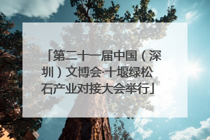第二十一届中国（深圳）文博会·十堰绿松石产业对接大会举行