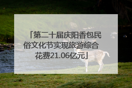 第二十届庆阳香包民俗文化节实现旅游综合花费21.06亿元