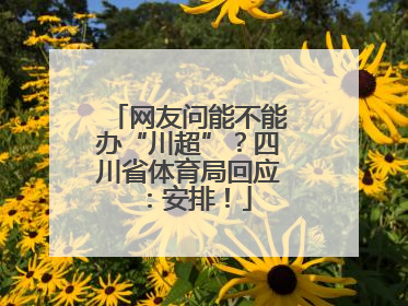 网友问能不能办“川超”？四川省体育局回应：安排！