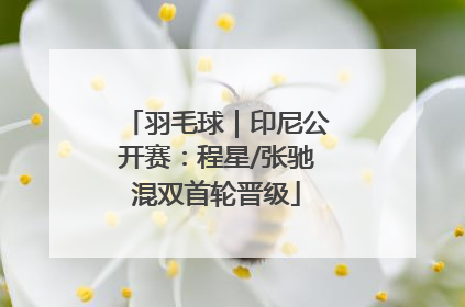 羽毛球｜印尼公开赛：程星/张驰混双首轮晋级