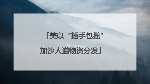 美以“插手包揽”加沙人道物资分发