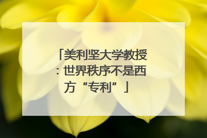 美利坚大学教授：世界秩序不是西方“专利”