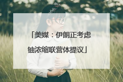 美媒：伊朗正考虑铀浓缩联营体提议