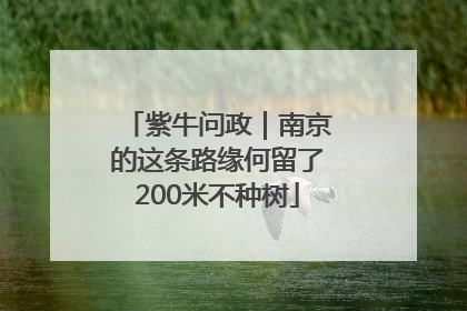 紫牛问政｜南京的这条路缘何留了200米不种树