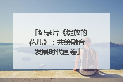 纪录片《绽放的花儿》：共绘融合发展时代画卷